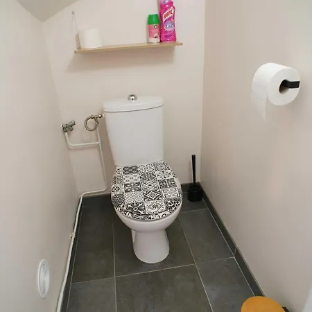 Appartement Petite Fleur Proche Paris Cdg Asterix Et Parc Des Expos
