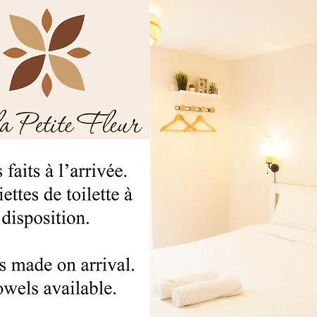 Appartement Petite Fleur Proche Paris Cdg Asterix Et Parc Des Expos