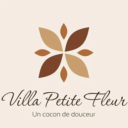 Petite Fleur Proche Paris Cdg Asterix Et Parc Des Expos 公寓 *
