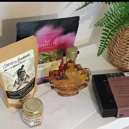 Petite Fleur Proche Paris Cdg Asterix Et Parc Des Expos *